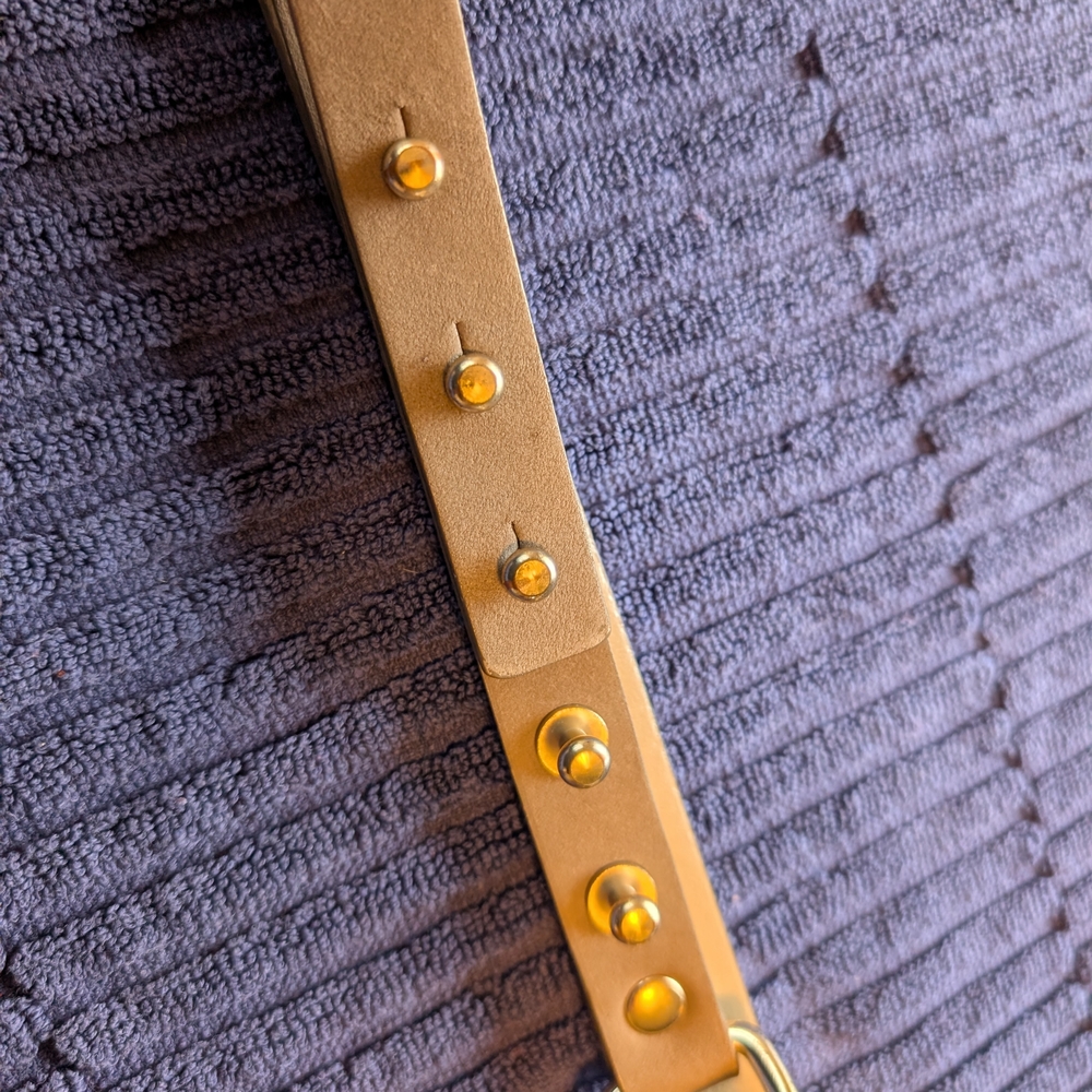 Stylish Tan Leather Strap with Gold Accents Gap